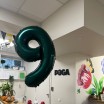 Rehabilitation Center POGA Celebrates its 9th Anniversary!